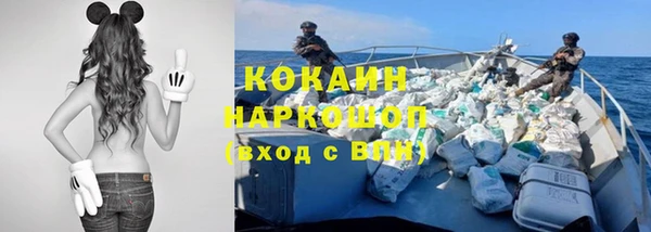 прущие грибы Аркадак