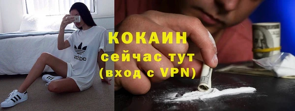 прущие грибы Аркадак