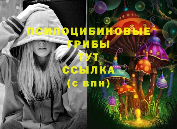 молекула духа Арсеньев