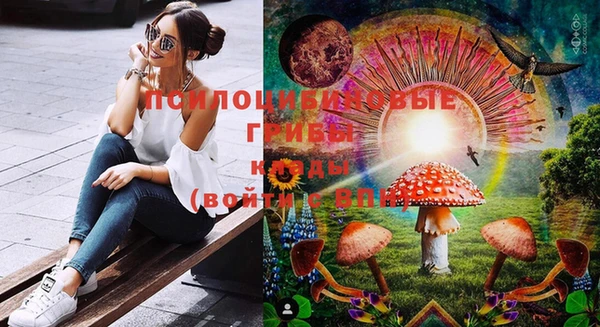 прущие грибы Аркадак