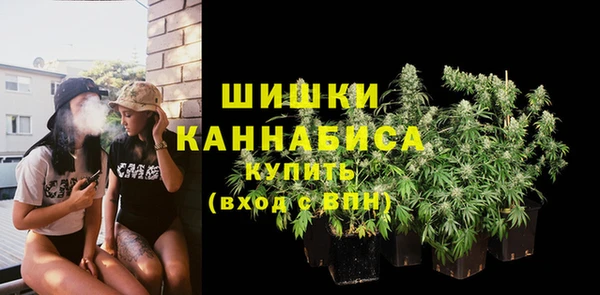 прущие грибы Аркадак