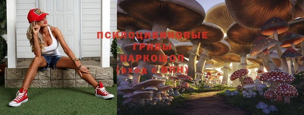 трава Армянск