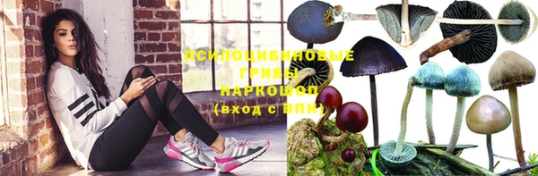 соль ск Приозерск