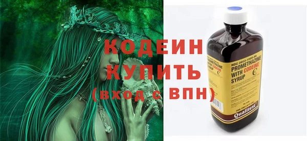 молекула духа Арсеньев