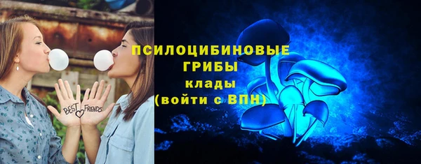 прущие грибы Аркадак