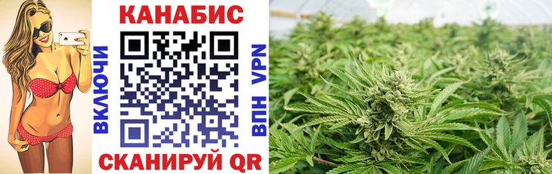 Бошки Шишки VHQ  Бавлы 